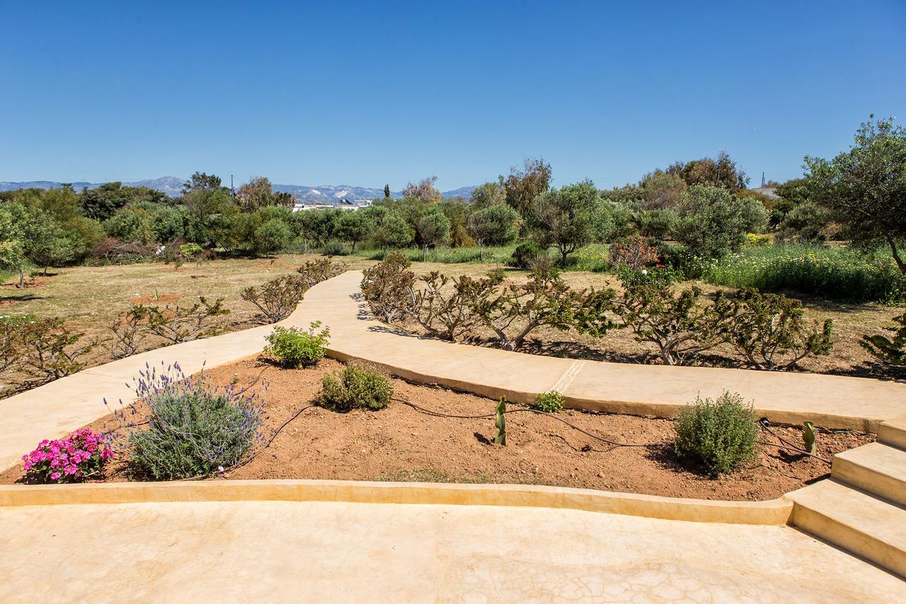 Villa Filizi - Filizi Naoussa Paros ซานตา มาเรีย ภายนอก รูปภาพ